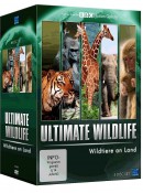 Amazon.de: Ultimate Wildlife Edition – Wildtiere an Land (BBC) [5 DVDs] für 6,97€ + VSK