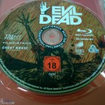 Evil_Dead_PopArt_byfkklol-10