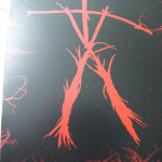 Blair-Witch-Steelbook-11