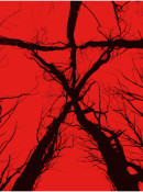 Zavvi.com: 2 für 15 Pfund / 17 EUR z.B. (The) Blair Witch Project Steelbook [Blu-ray]