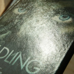 Wildling-Mediabook-10b