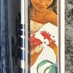 Vaiana-2-BR-Steelbook-06